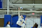 VB vs Plymouth St  Wheaton Women’s Volleyball vs Plymouth St. - Photo by Keith Nordstrom